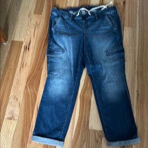 Torrid Dark Wash Denim Jeans